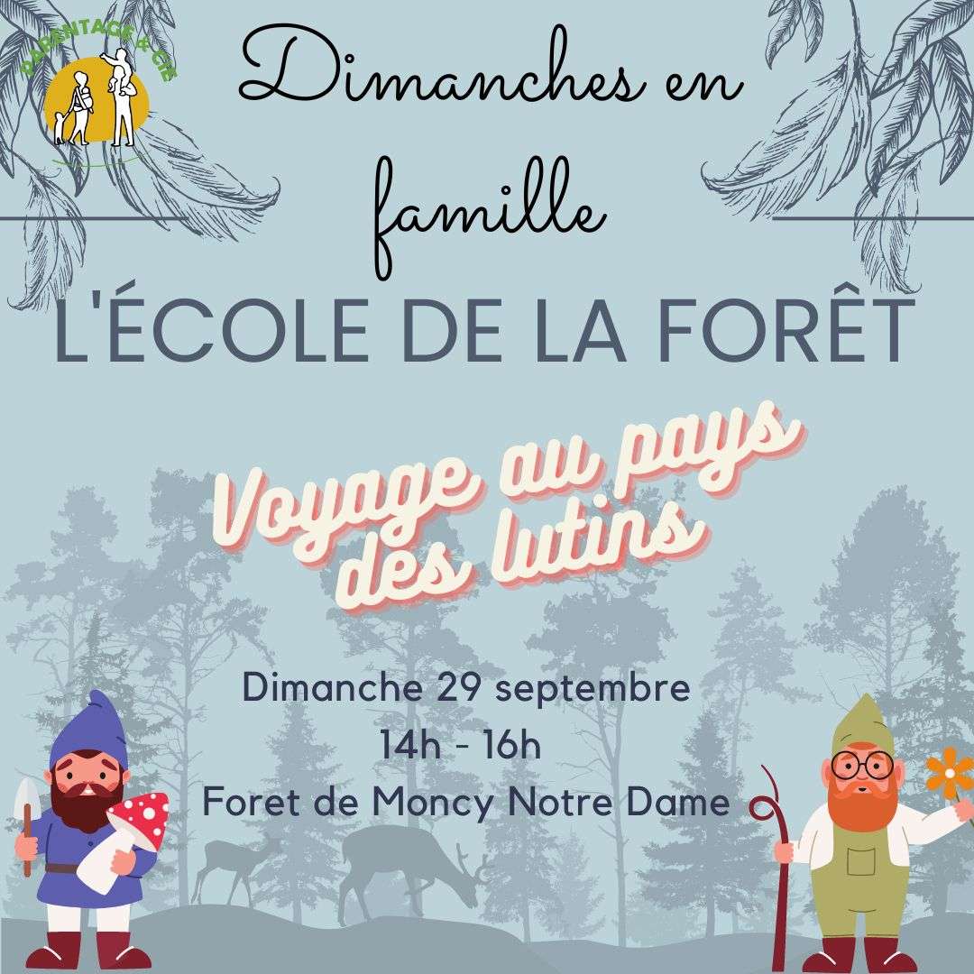 l'école de la forêt