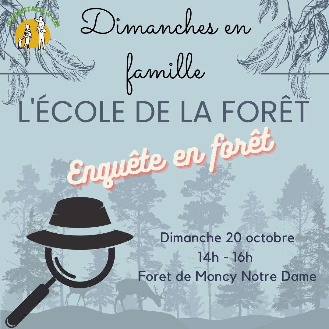 l'école de la forêt(1)